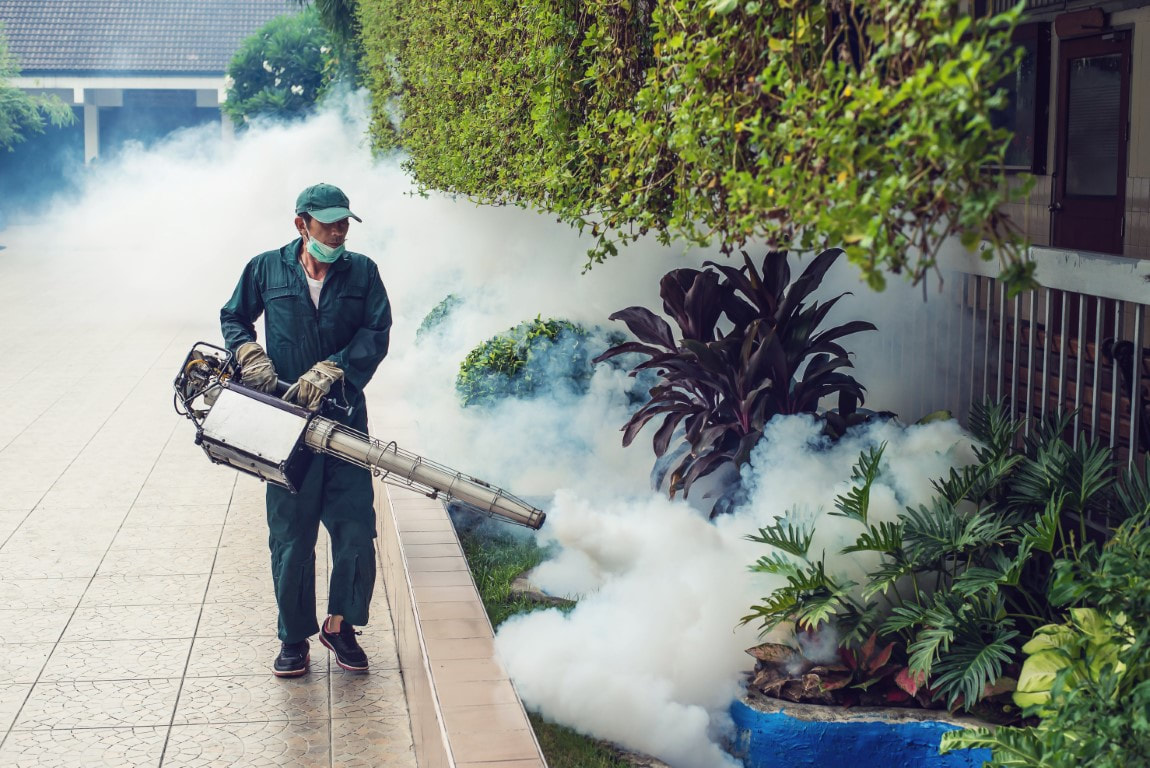 spraying for mosquitoes
